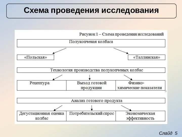 Слайд 5 Схема проведения исследования