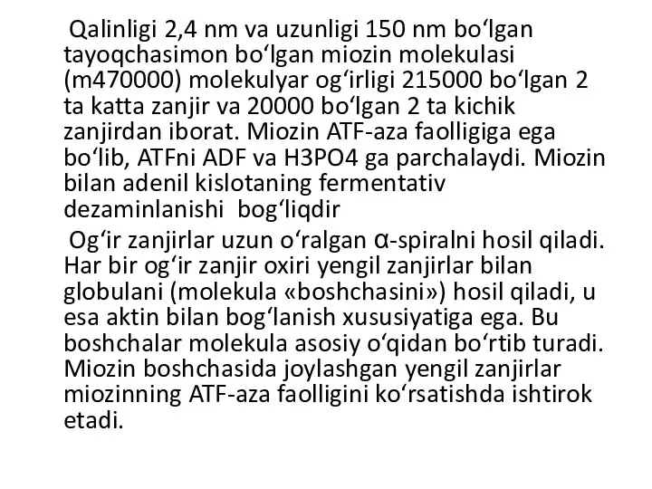 Qalinligi 2,4 nm va uzunligi 150 nm bo‘lgan tayoqchasimon bo‘lgan miozin