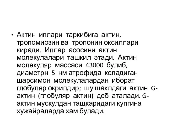 Актин иплари таркибига актин, тропомиозин ва тропонин оксиллари киради. Иплар асосини