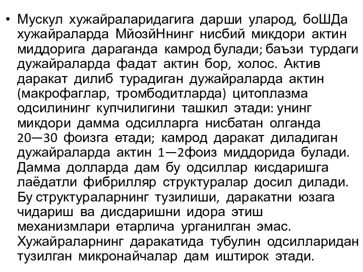 Мускул хужайраларидагига дарши уларод, боШДа хужайраларда МйозйНнинг нисбий микдори актин миддорига