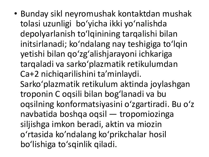 Bunday sikl neyromushak kontaktdan mushak tolasi uzunligi bo‘yicha ikki yo‘nalishda depolyarlanish