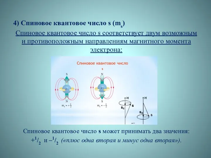 4) Спиновое квантовое число s (ms) Спиновое квантовое число s соответствует