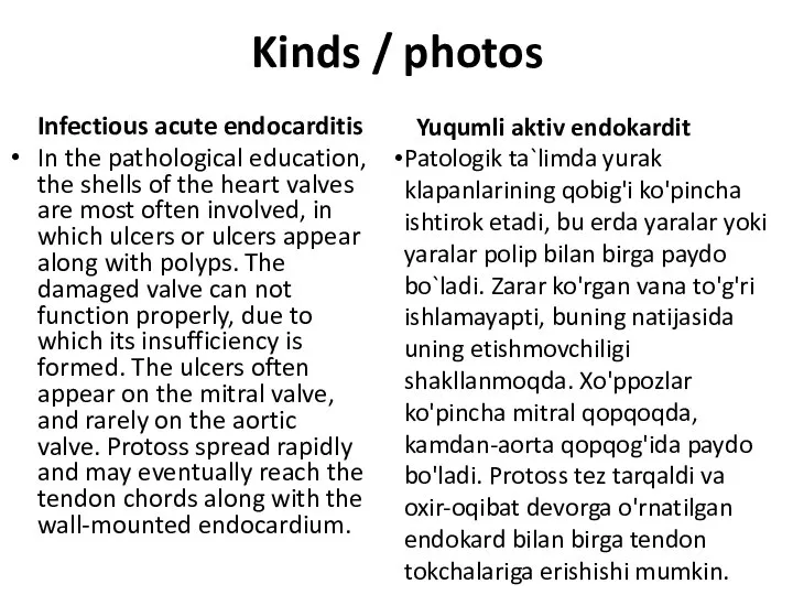 Kinds / photos Infectious acute endocarditis In the pathological education, the