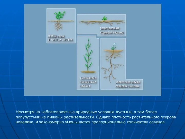 Несмотря на неблагоприятные природные условия, пустыни, а тем более полупустыни не