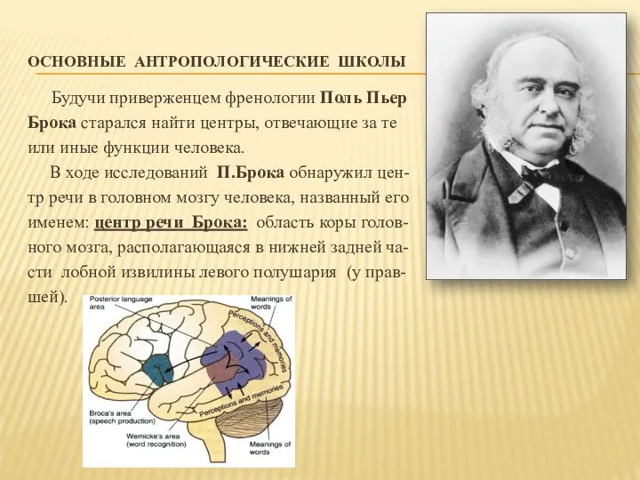 ОСНОВНЫЕ АНТРОПОЛОГИЧЕСКИЕ ШКОЛЫ Будучи приверженцем френологии Поль Пьер Брока старался найти