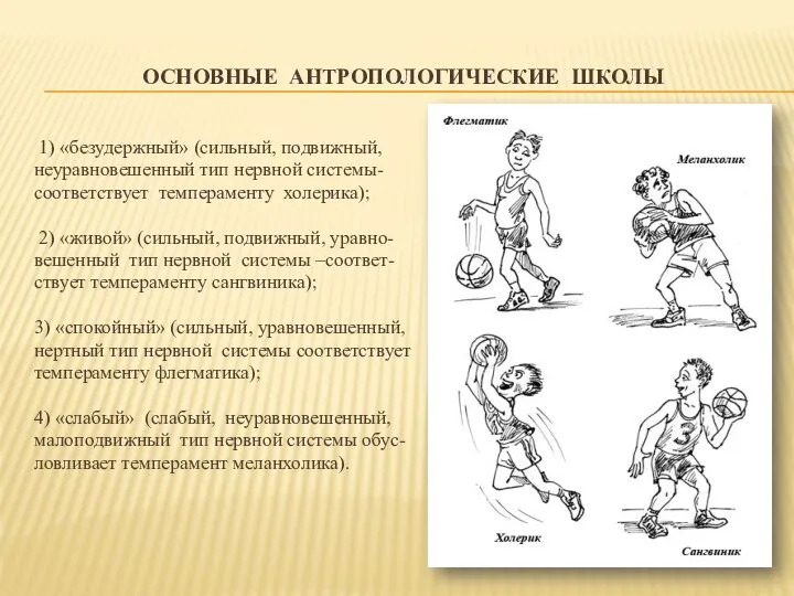 ОСНОВНЫЕ АНТРОПОЛОГИЧЕСКИЕ ШКОЛЫ 1) «безудержный» (сильный, подвижный, неуравновешенный тип нервной системы-