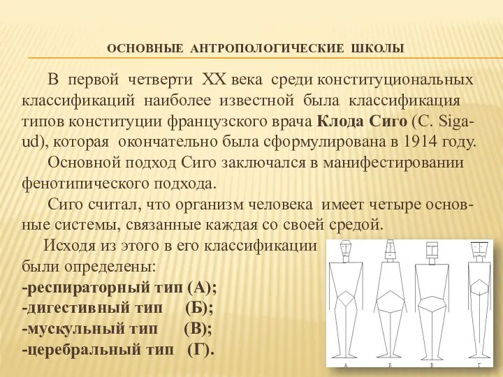 ОСНОВНЫЕ АНТРОПОЛОГИЧЕСКИЕ ШКОЛЫ В первой четверти XX века среди конституциональных классификаций