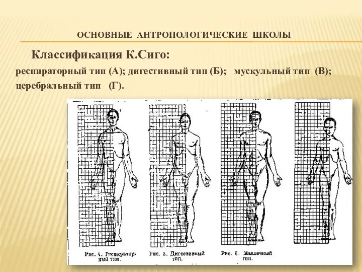 ОСНОВНЫЕ АНТРОПОЛОГИЧЕСКИЕ ШКОЛЫ Классификация К.Сиго: респираторный тип (А); дигестивный тип (Б);