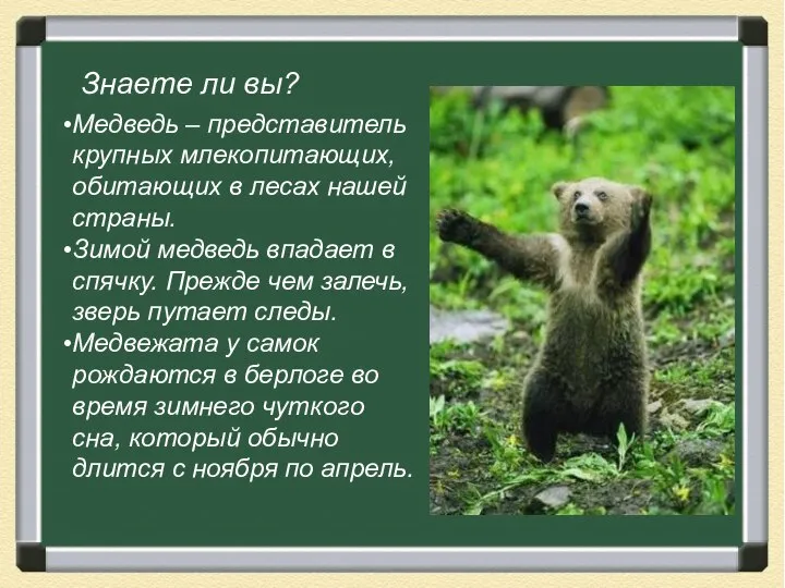 Загадка Вперевалку зверь идет По малину и по мед. Любит сладкое