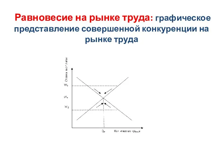 Равновесие на рынке труда: графическое представление совершенной конкуренции на рынке труда