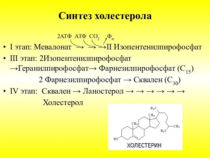 Синтез холестерола 2АТФ АТФ СО2 Фн I этап: Мевалонат → →
