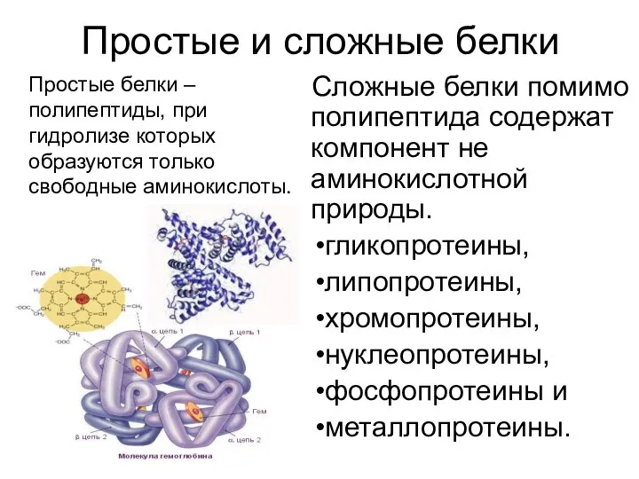 Простые и сложные белки Сложные белки помимо полипептида содержат компонент не