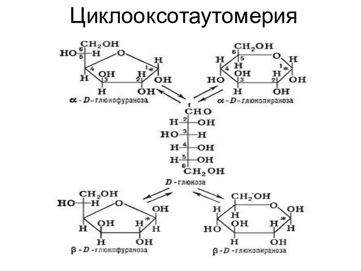 Циклооксотаутомерия