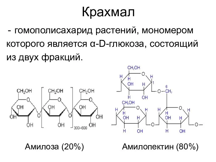 Крахмал гомополисахарид растений, мономером которого является α-D-глюкоза, состоящий из двух фракций. Амилоза (20%) Амилопектин (80%)