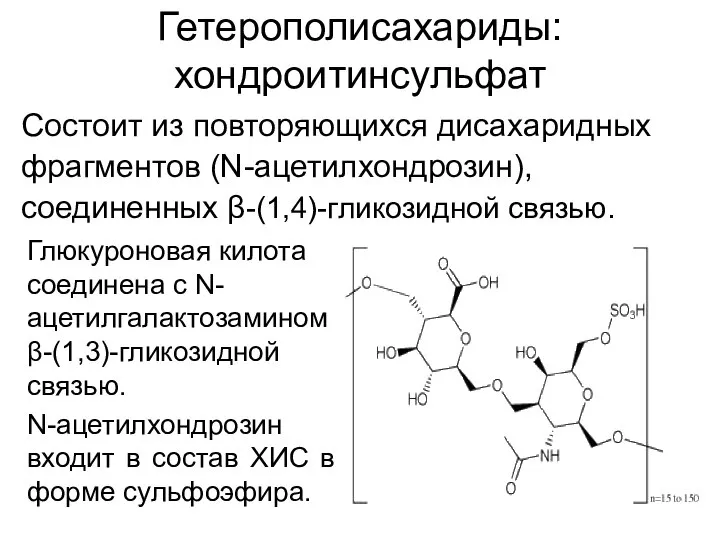 Гетерополисахариды: хондроитинсульфат Состоит из повторяющихся дисахаридных фрагментов (N-ацетилхондрозин), соединенных β-(1,4)-гликозидной связью.