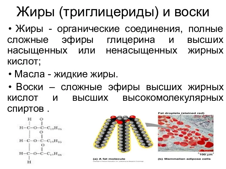 Жиры (триглицериды) и воски Жиры - органические соединения, полные сложные эфиры