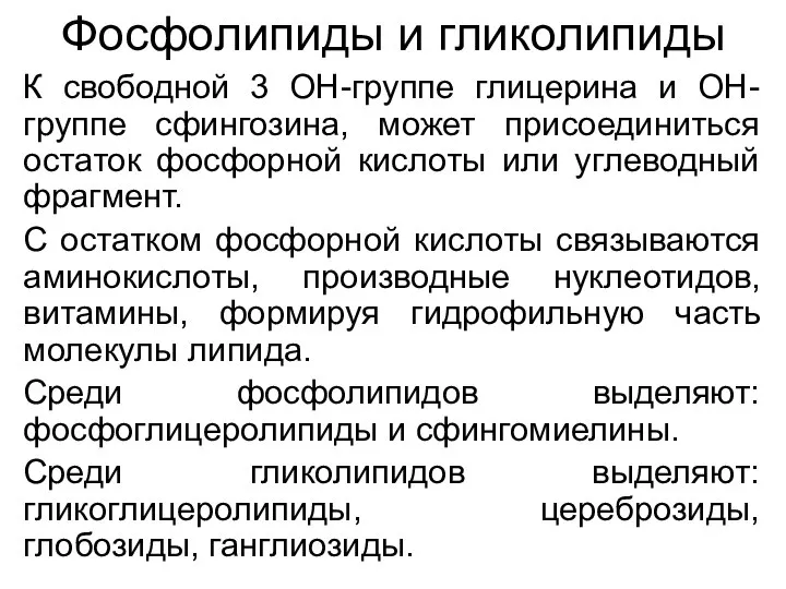 Фосфолипиды и гликолипиды К свободной 3 ОН-группе глицерина и ОН-группе сфингозина,