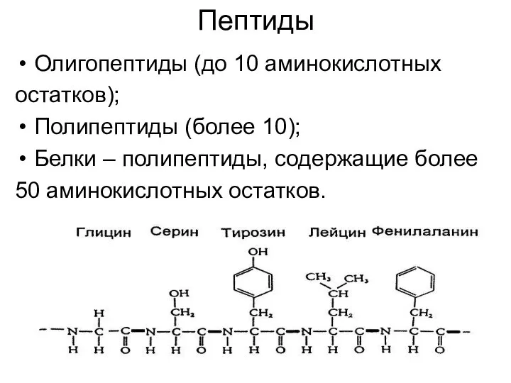 Пептиды Олигопептиды (до 10 аминокислотных остатков); Полипептиды (более 10); Белки –