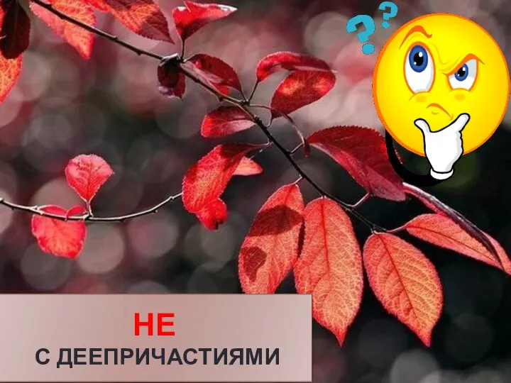 НЕ С ДЕЕПРИЧАСТИЯМИ