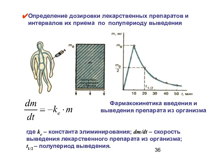 Определение дозировки лекарственных препаратов и интервалов их приема по полупериоду выведения