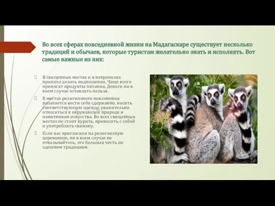 Во всех сферах повседневной жизни на Мадагаскаре существует несколько традиций и