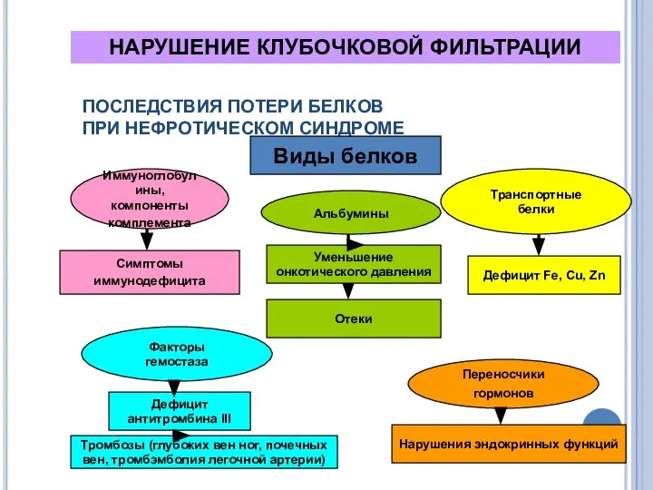 ПОСЛЕДСТВИЯ ПОТЕРИ БЕЛКОВ ПРИ НЕФРОТИЧЕСКОМ СИНДРОМЕ Виды белков Иммуноглобулины, компоненты комплемента