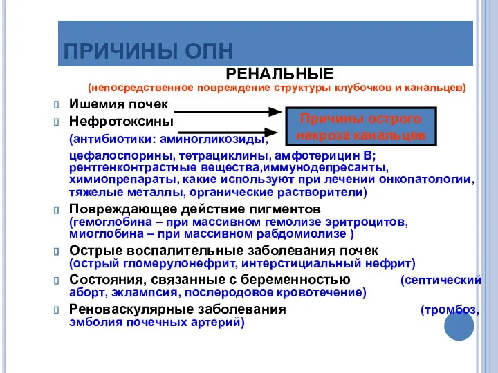 ПРИЧИНЫ ОПН РЕНАЛЬНЫЕ (непосредственное повреждение структуры клубочков и канальцев) Ишемия почек