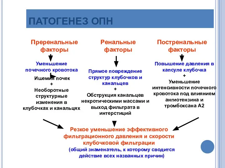 ПАТОГЕНЕЗ ОПН Преренальныефакторы Ренальные факторы Постренальные факторы Повышение давления в капсуле