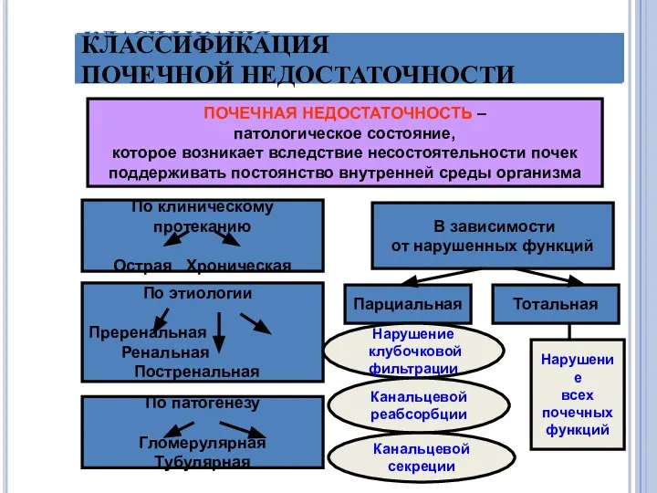 КЛАСИФІКАЦІЯ НИРКОВОЇ НЕДОСТАТНОСТІ ПОЧЕЧНАЯ НЕДОСТАТОЧНОСТЬ – патологическое состояние, которое возникает вследствие