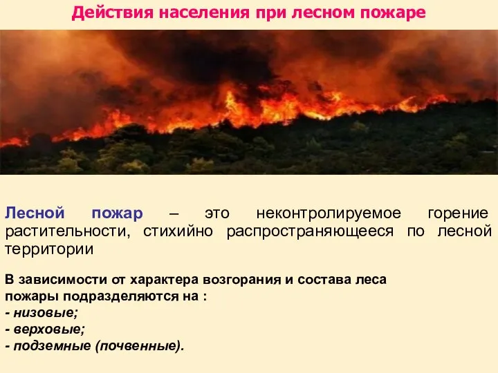 Лесной пожар – это неконтролируемое горение растительности, стихийно распространяющееся по лесной