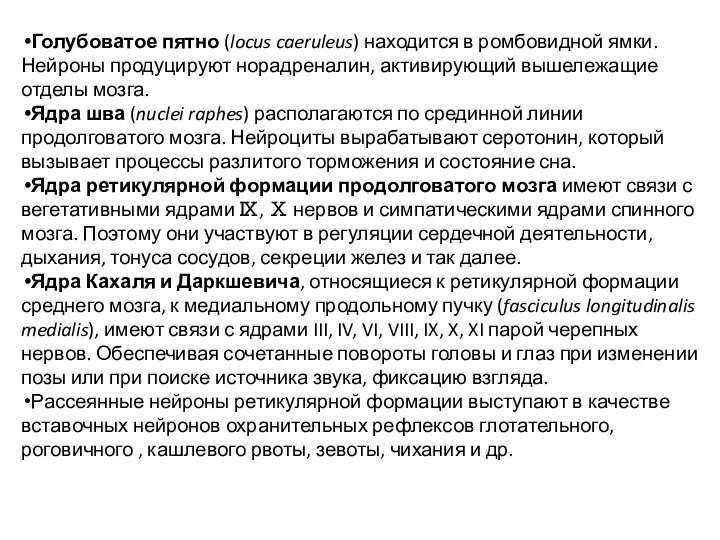 Голубоватое пятно (locus caeruleus) находится в ромбовидной ямки. Нейроны продуцируют норадреналин,