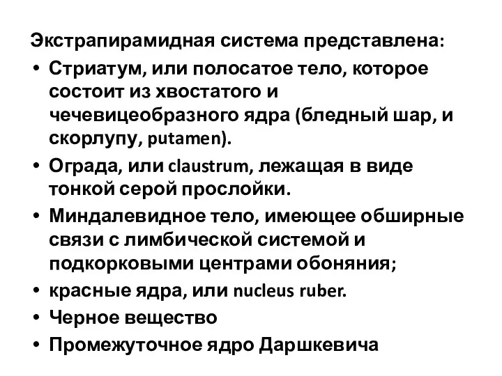 Экстрапирамидная система представлена: Стриатум, или полосатое тело, которое состоит из хвостатого