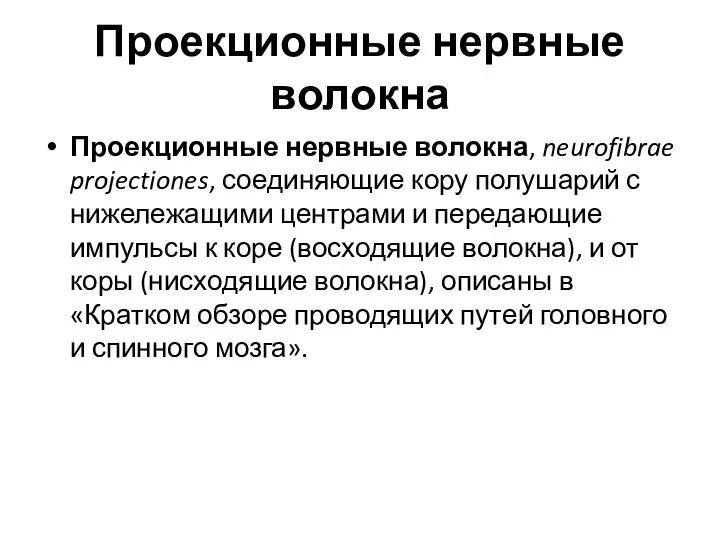 Проекционные нервные волокна Проекционные нервные волокна, neurofibrae projectiones, соединяющие кору полушарий