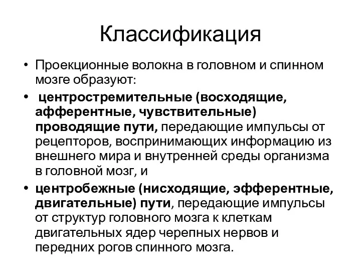 Классификация Проекционные волокна в головном и спинном мозге образуют: центростремительные (восходящие,