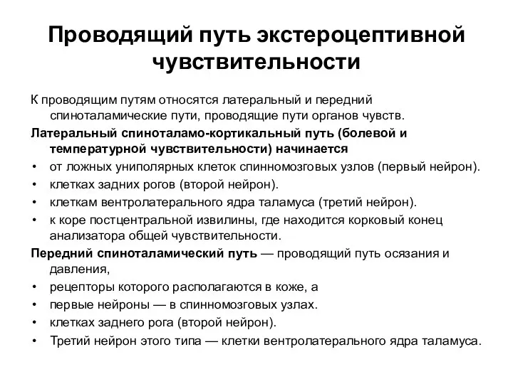 Проводящий путь экстероцептивной чувствительности К проводящим путям относятся латеральный и передний