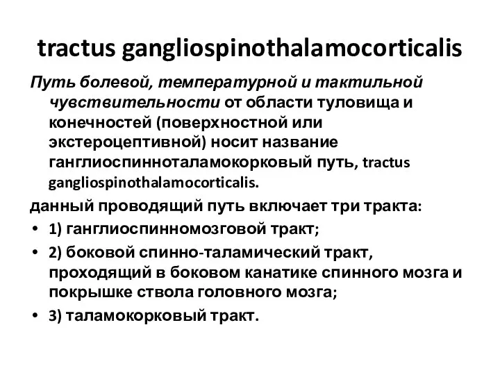 tractus gangliospinothalamocorticalis Путь болевой, температурной и тактильной чувствительности от области туловища