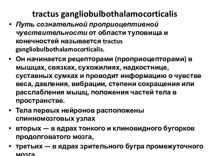 tractus gangliobulbothalamocorticalis Путь сознательной проприоцептивной чувствительности от области туловища и конечностей