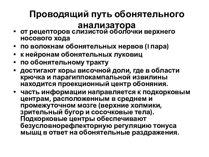 Проводящий путь обонятельного анализатора от рецепторов слизистой оболочки верхнего носового хода