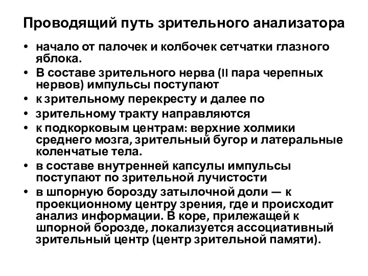 Проводящий путь зрительного анализатора начало от палочек и колбочек сетчатки глазного