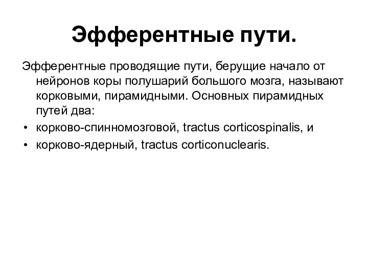 Эфферентные пути. Эфферентные проводящие пути, берущие начало от нейронов коры полушарий