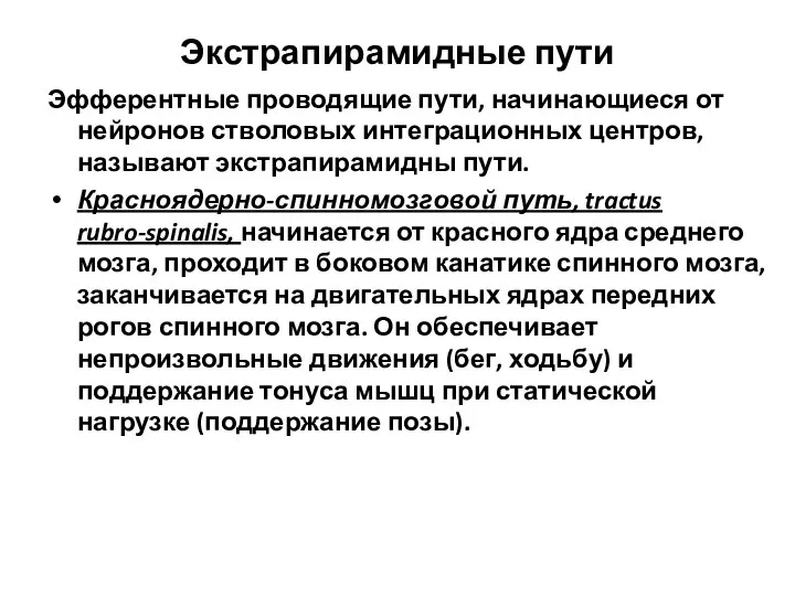 Экстрапирамидные пути Эфферентные проводящие пути, начинающиеся от нейронов стволовых интеграционных центров,