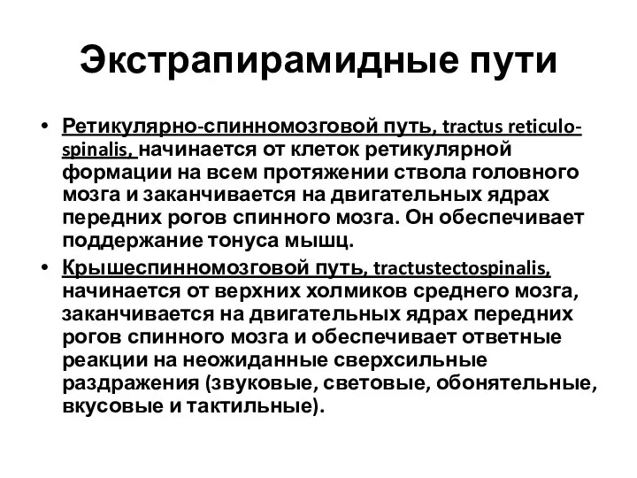 Экстрапирамидные пути Ретикулярно-спинномозговой путь, tractus reticulo- spinalis, начинается от клеток ретикулярной