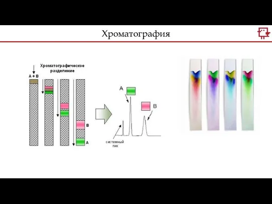 Хроматография