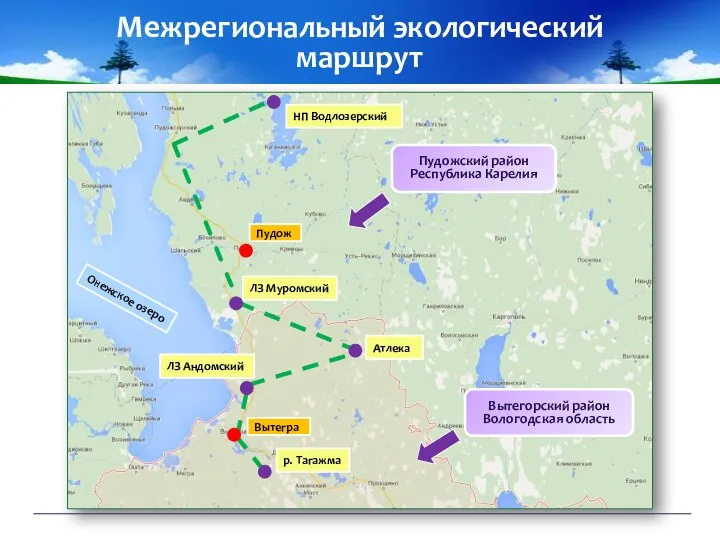 Межрегиональный экологический маршрут Пудож Вытегра НП Водлозерский ЛЗ Муромский Атлека ЛЗ