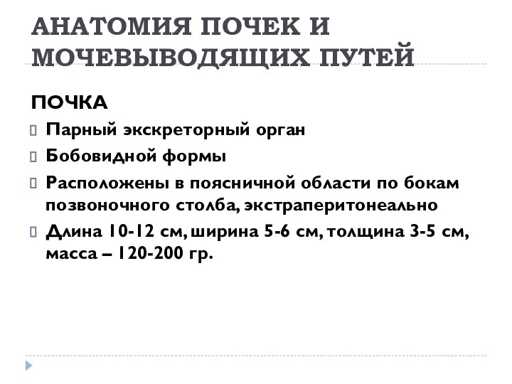 АНАТОМИЯ ПОЧЕК И МОЧЕВЫВОДЯЩИХ ПУТЕЙ ПОЧКА Парный экскреторный орган Бобовидной формы