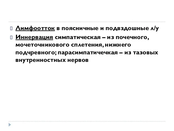 Лимфоотток в поясничные и подвздошные л/у Иннервация симпатическая – из почечного,мочеточникового