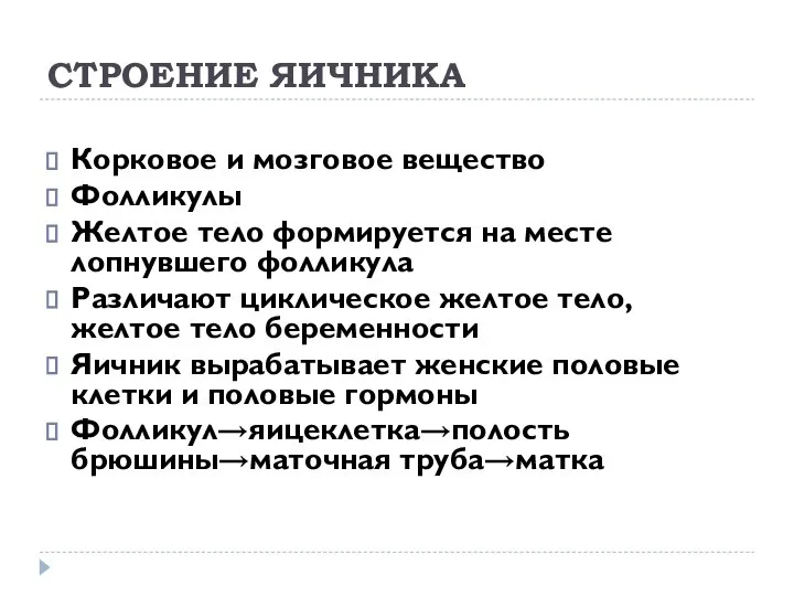 СТРОЕНИЕ ЯИЧНИКА Корковое и мозговое вещество Фолликулы Желтое тело формируется на