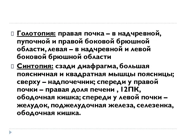 Голотопия: правая почка – в надчревной, пупочной и правой боковой брюшной