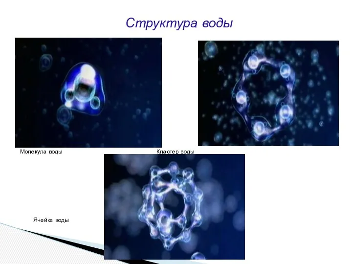 Структура воды Молекула воды Кластер воды Ячейка воды