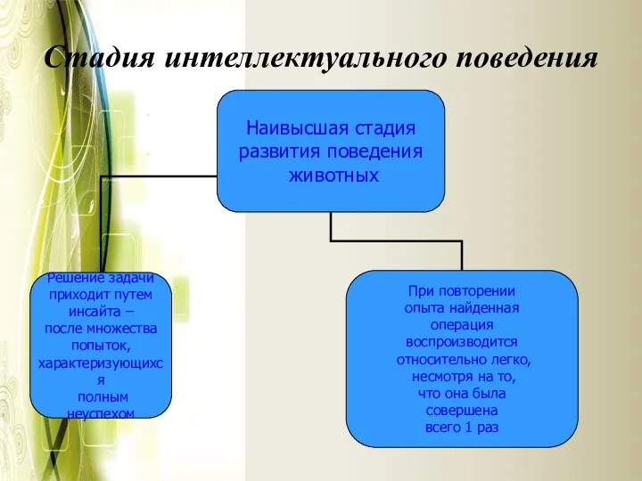 Стадия интеллектуального поведения